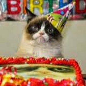 Meet your Posher, Doreen